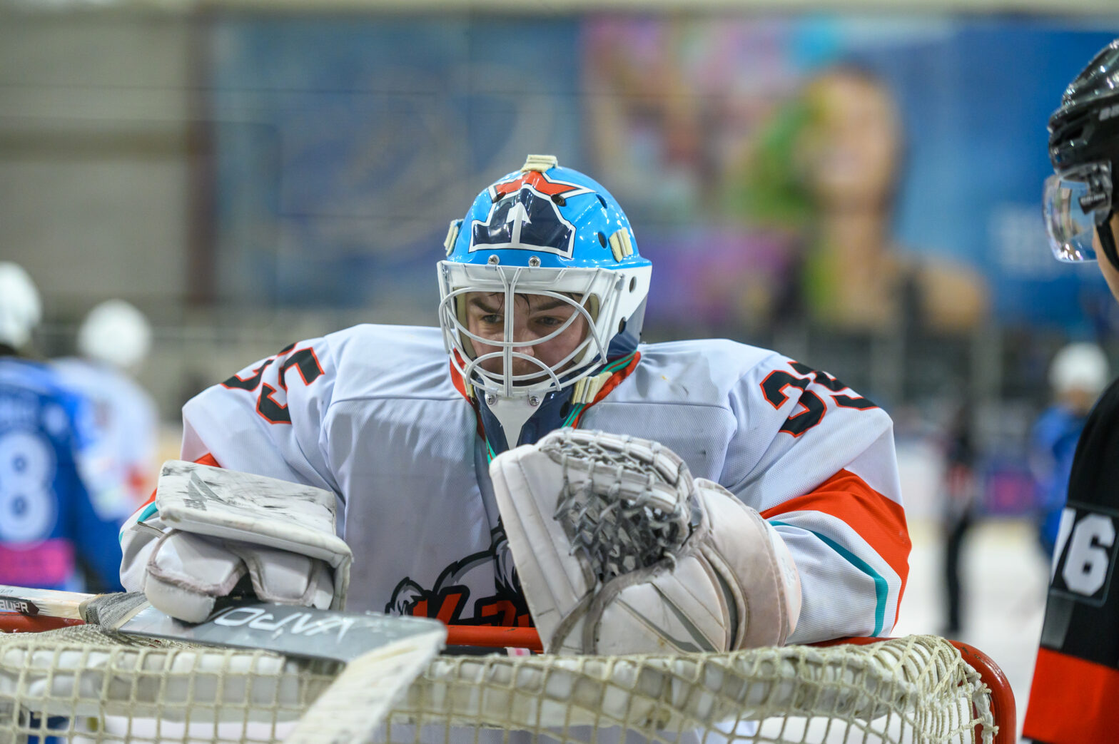 «Крижинка-Кепіталз» (Київ) – «Кременчук». Анонс матчу